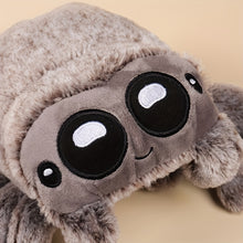 Close-up of a soft plush spider toy with large embroidered eyes and fuzzy textured body in neutral tones