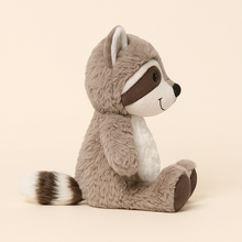 Cuddly Raccoon Plush – Soft Woodland Friend-Toyfetti