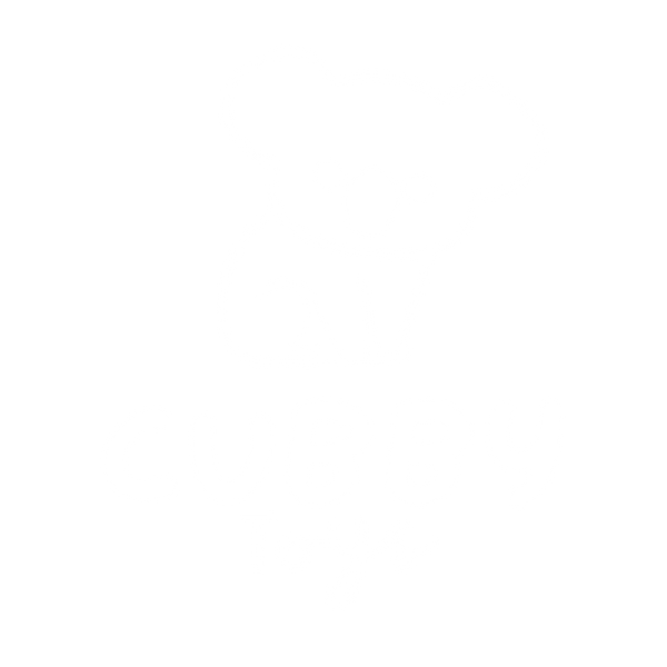 Cubby-toys logo 